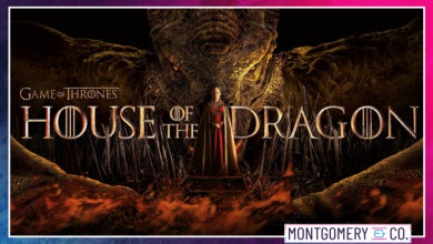 Photo of The Officially Unofficial Perfect House of the Dragon Season 1 Recap